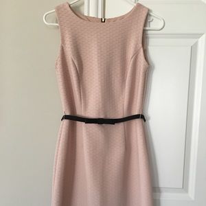 THE LIMITED pale pink dress.